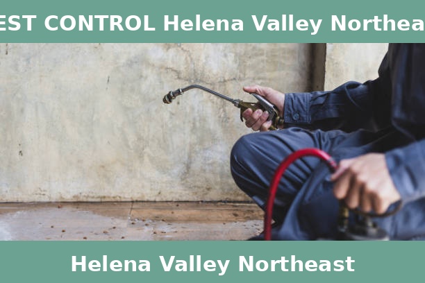 PEST CONTROL Helena Valley Northeast